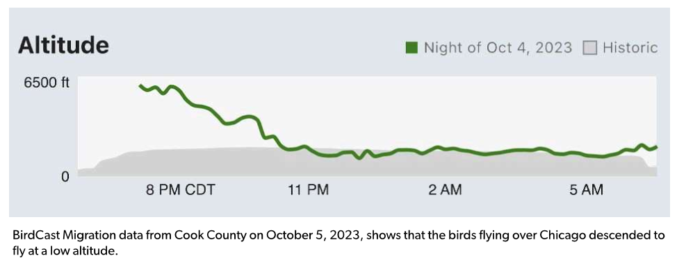 BirdCast altitude chart for Cook County on October 5, 2023, showing migrating birds descending from 6,500 ft around 8 PM CDT to low altitudes by 11 PM and staying low through 5 AM.